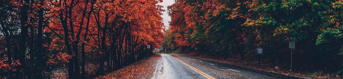 Michigan Fall Moving Guide