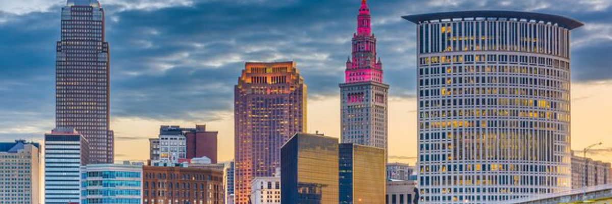 Why Use Professional Cleveland Movers for Your Relocation